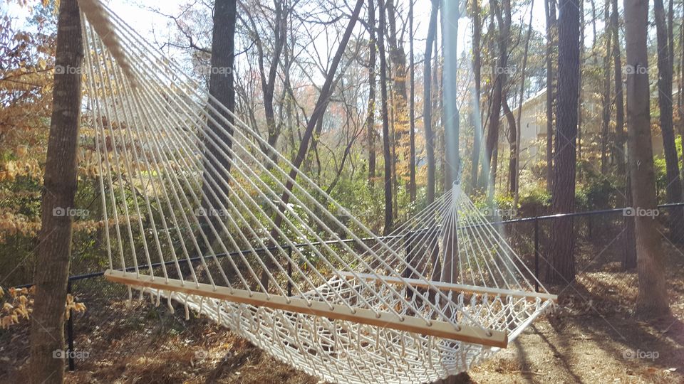 Hammock