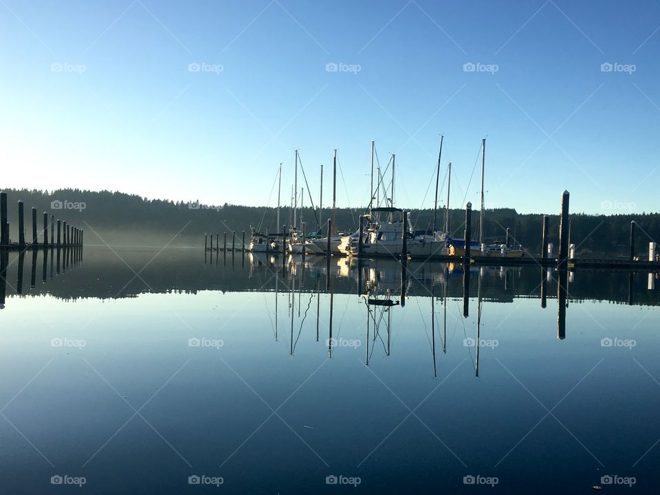 Early morning mist at the marina