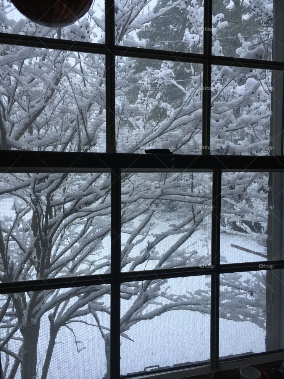 Snowy scene through window