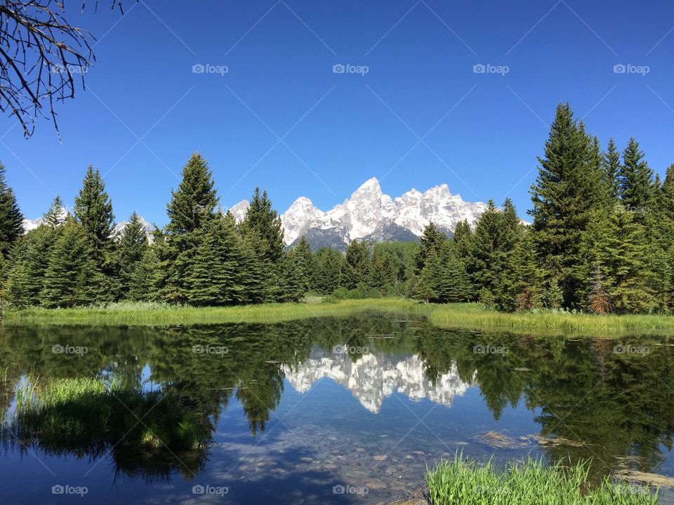 Grand Tetons reflected in stream