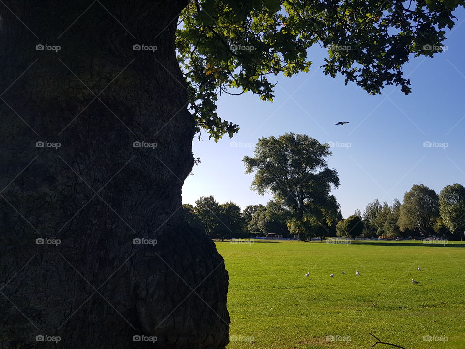 Nice shots in a nice day