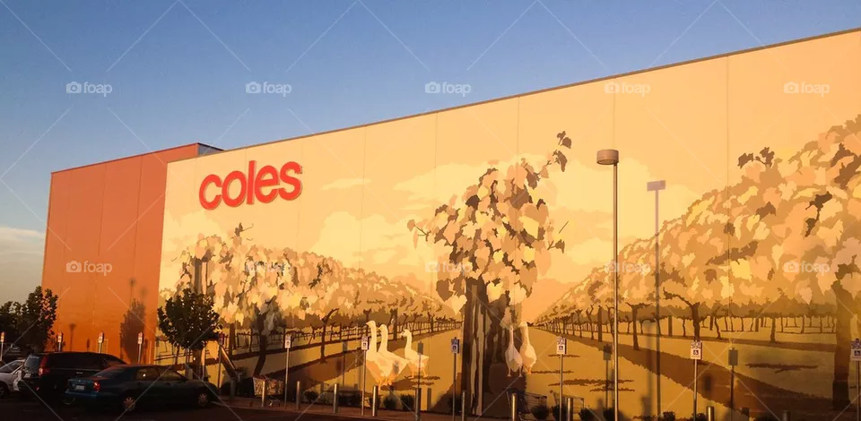 Coles