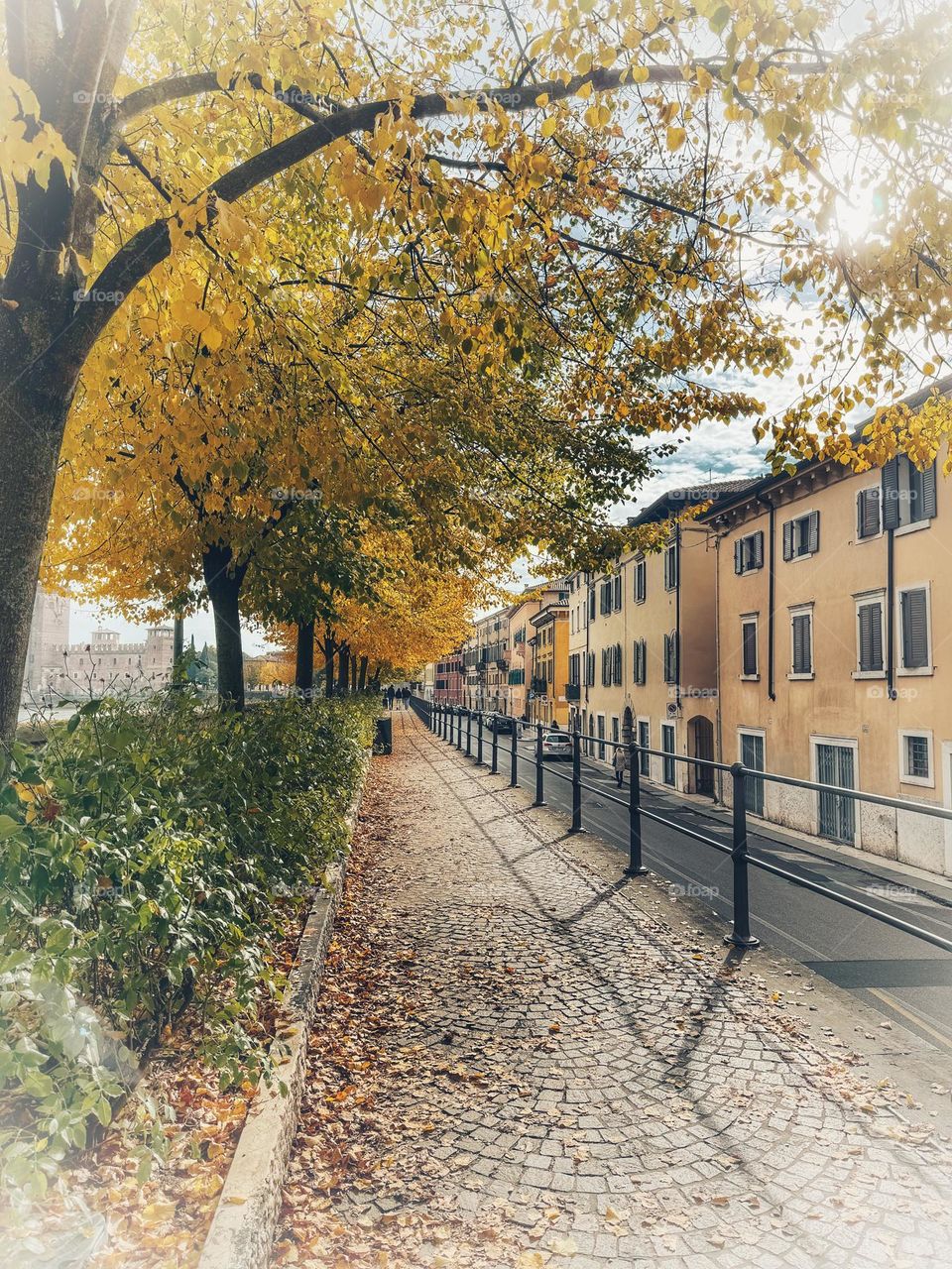 Autumn’s colors in Verona