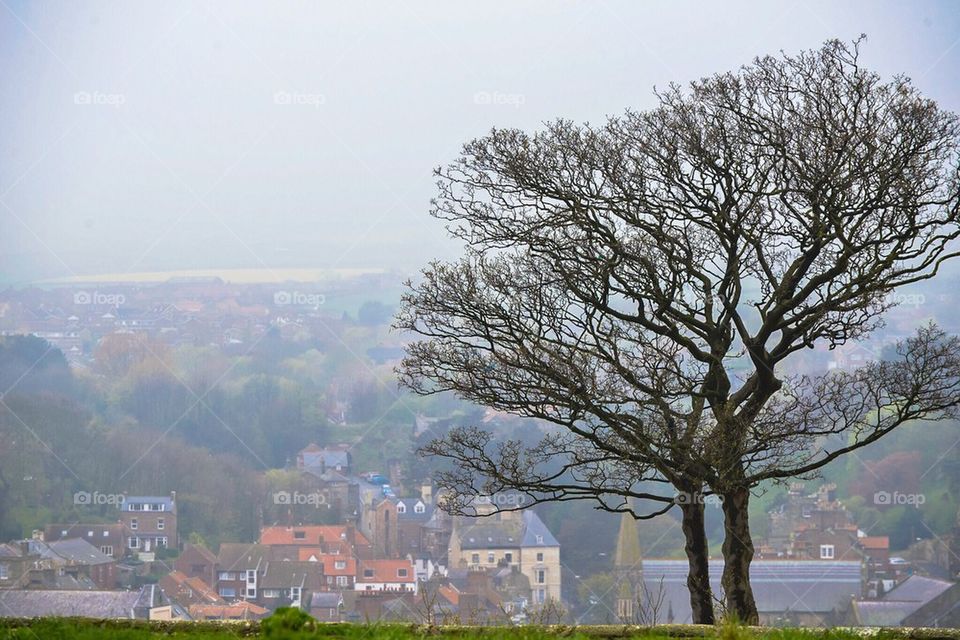 Foggy Whitby