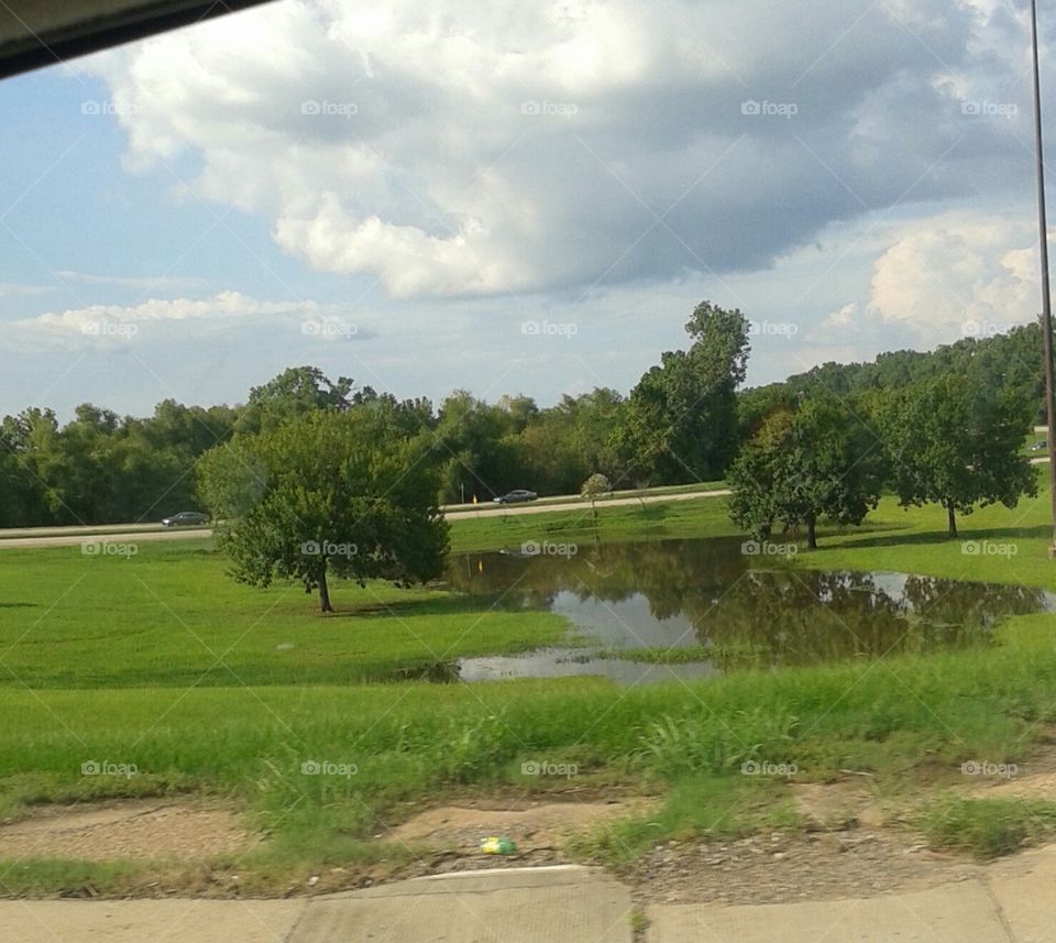 flooded puddle