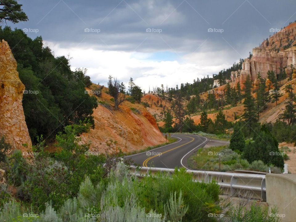 Empty road of bryce canyon