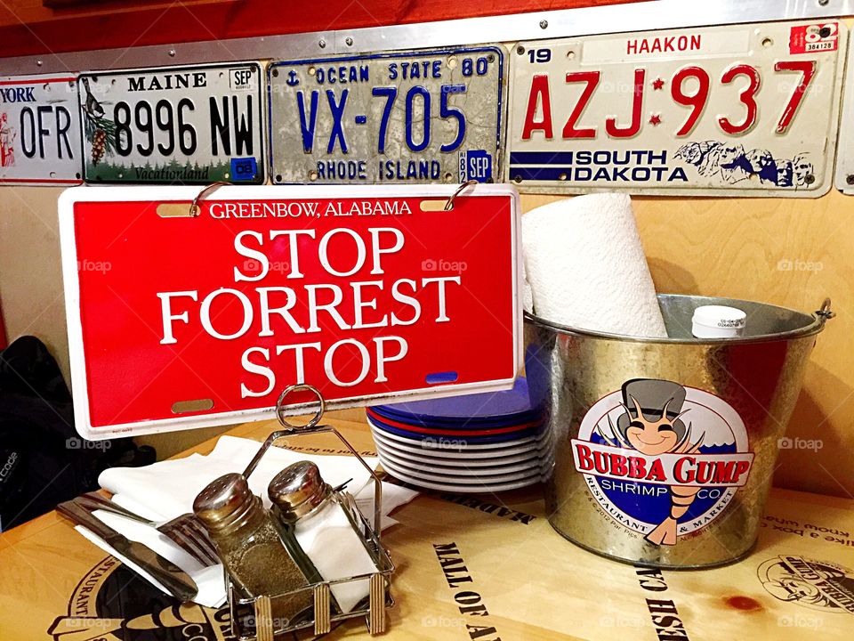 Stop Forest Stop! 
