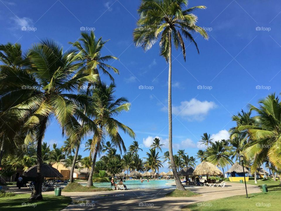 Dominican Resort 