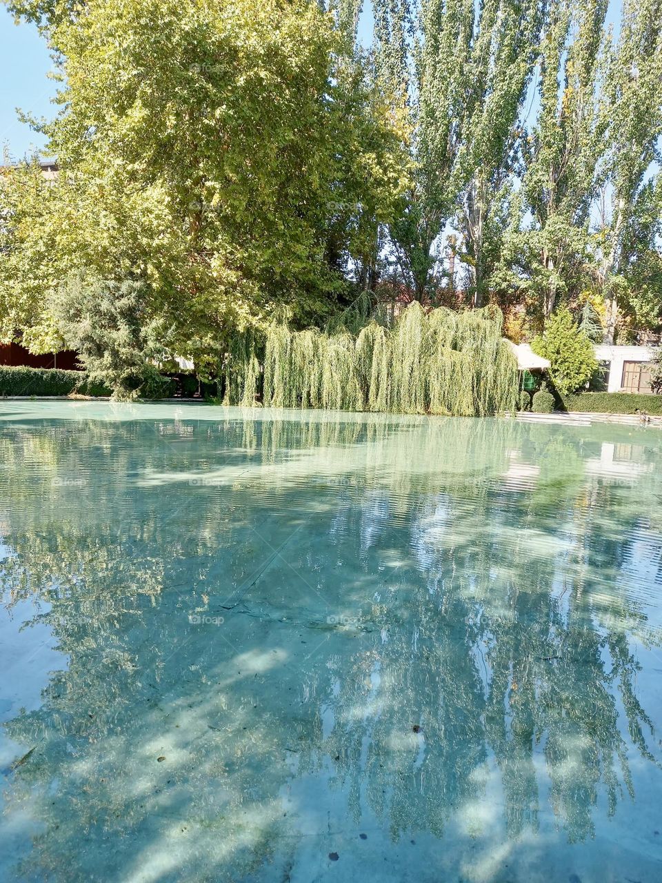 Armenia, Yerevan, lake in the ring park