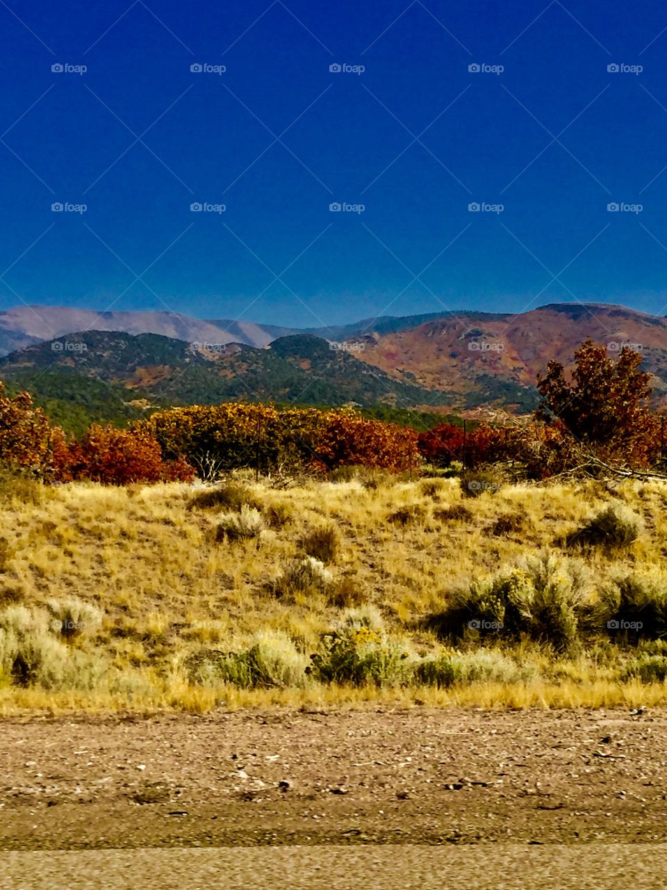 Fall mountains 