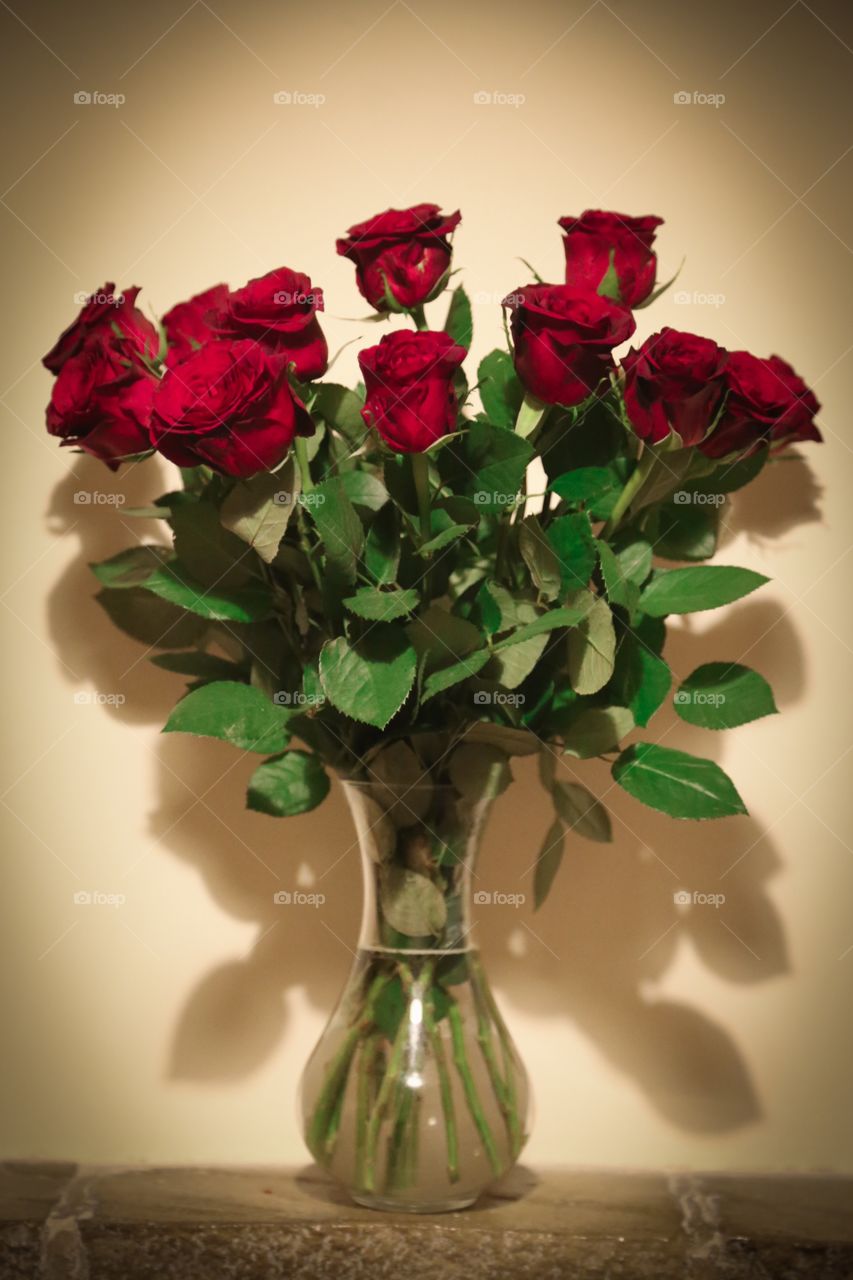Valentine’s Day roses 