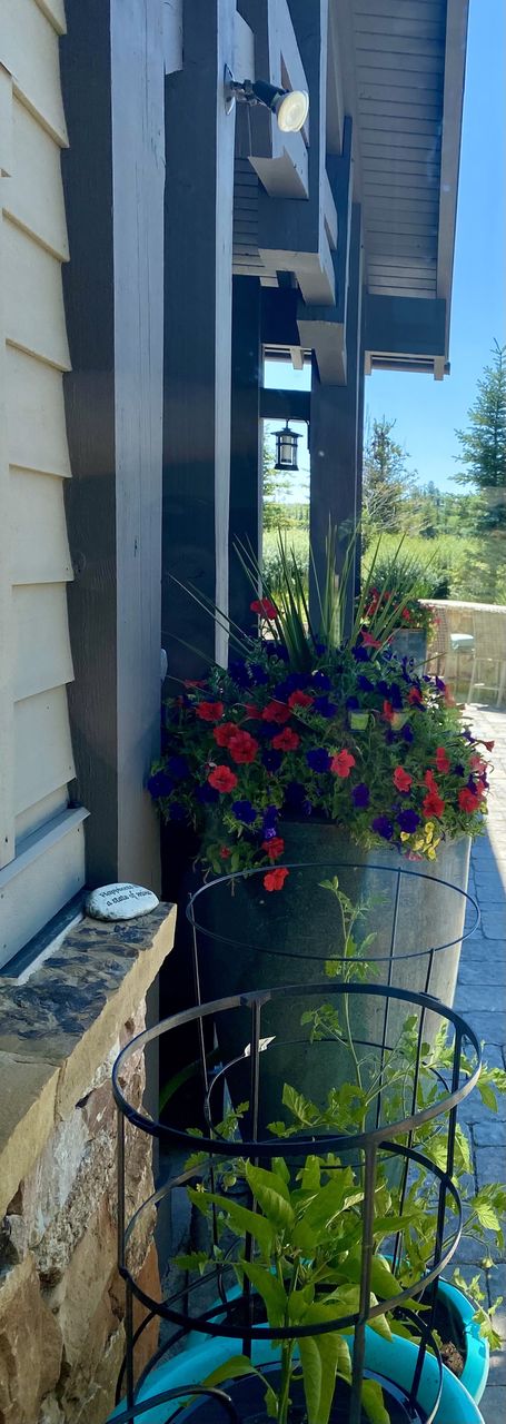 Window flower