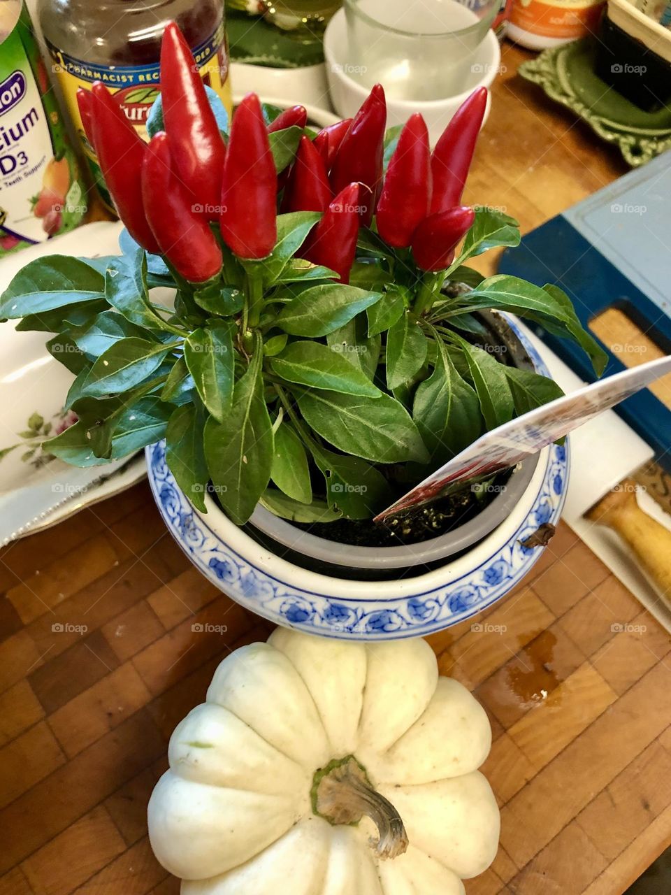 In the kitchen potted Red Pepper plant 🪴