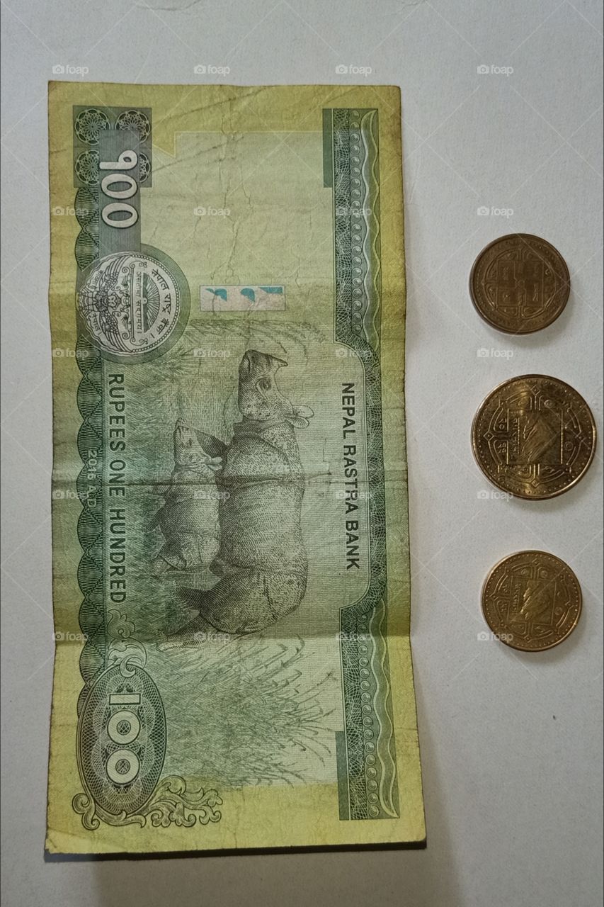 Nepali note and coins