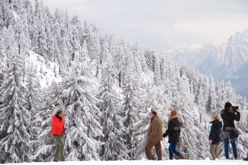 Peak Postavarul , Poiana Brasov, Romania 