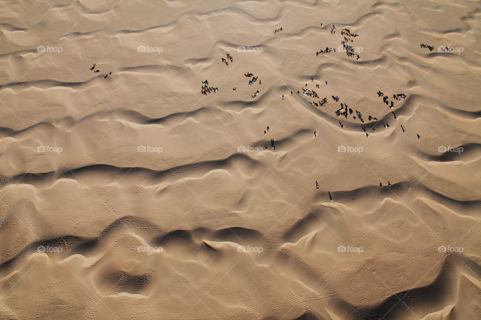 The Greatest Desert. Sahara