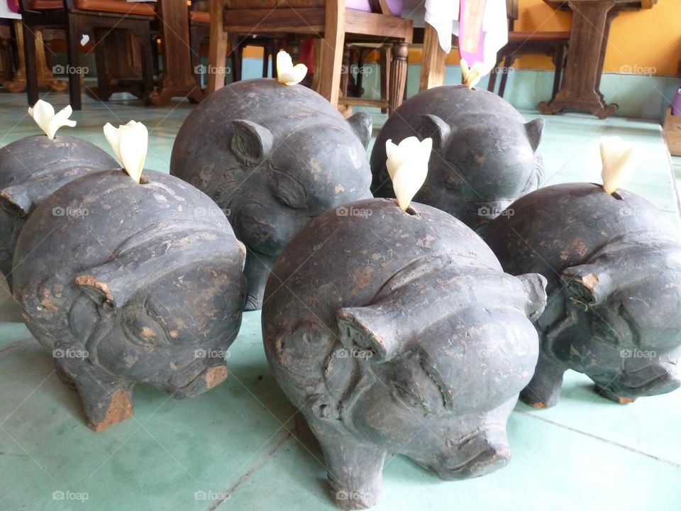Stone pigs who tissue to fly.