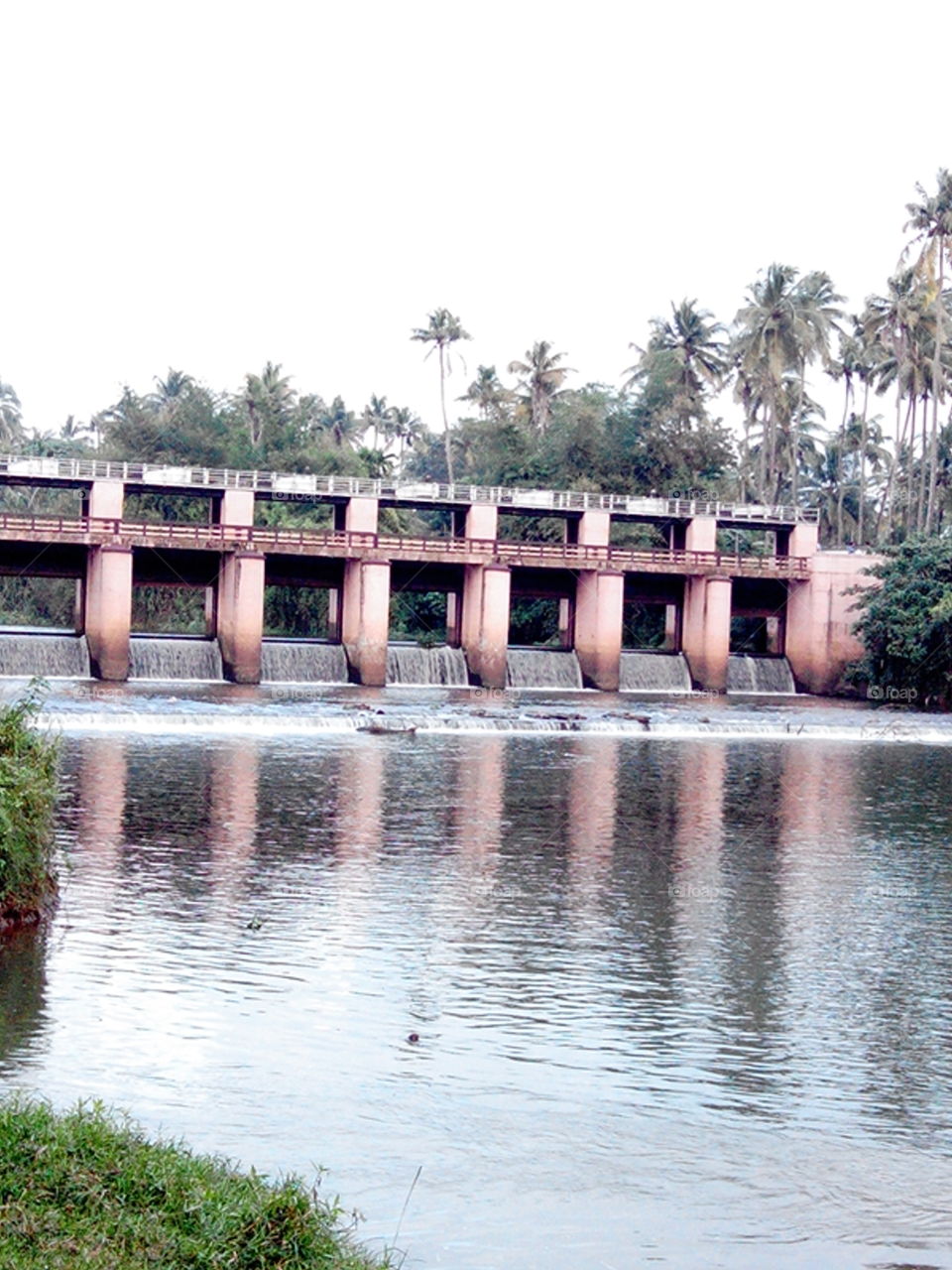 Autumn Rain Reflections