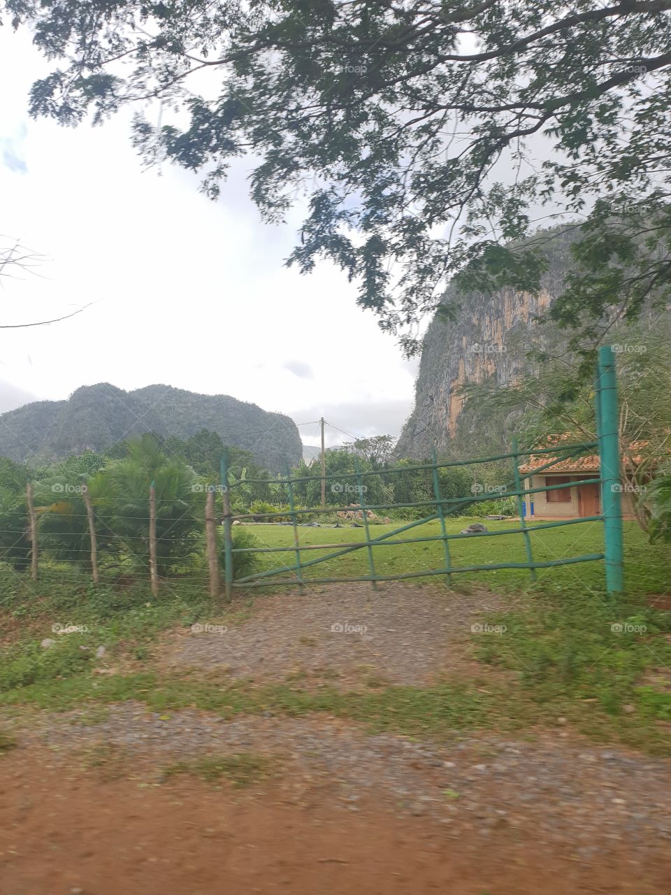 Viñales