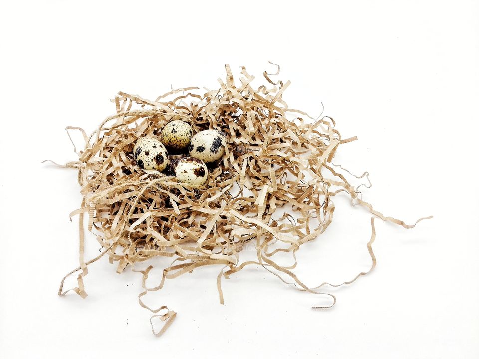 nest with four quail eggs on white background