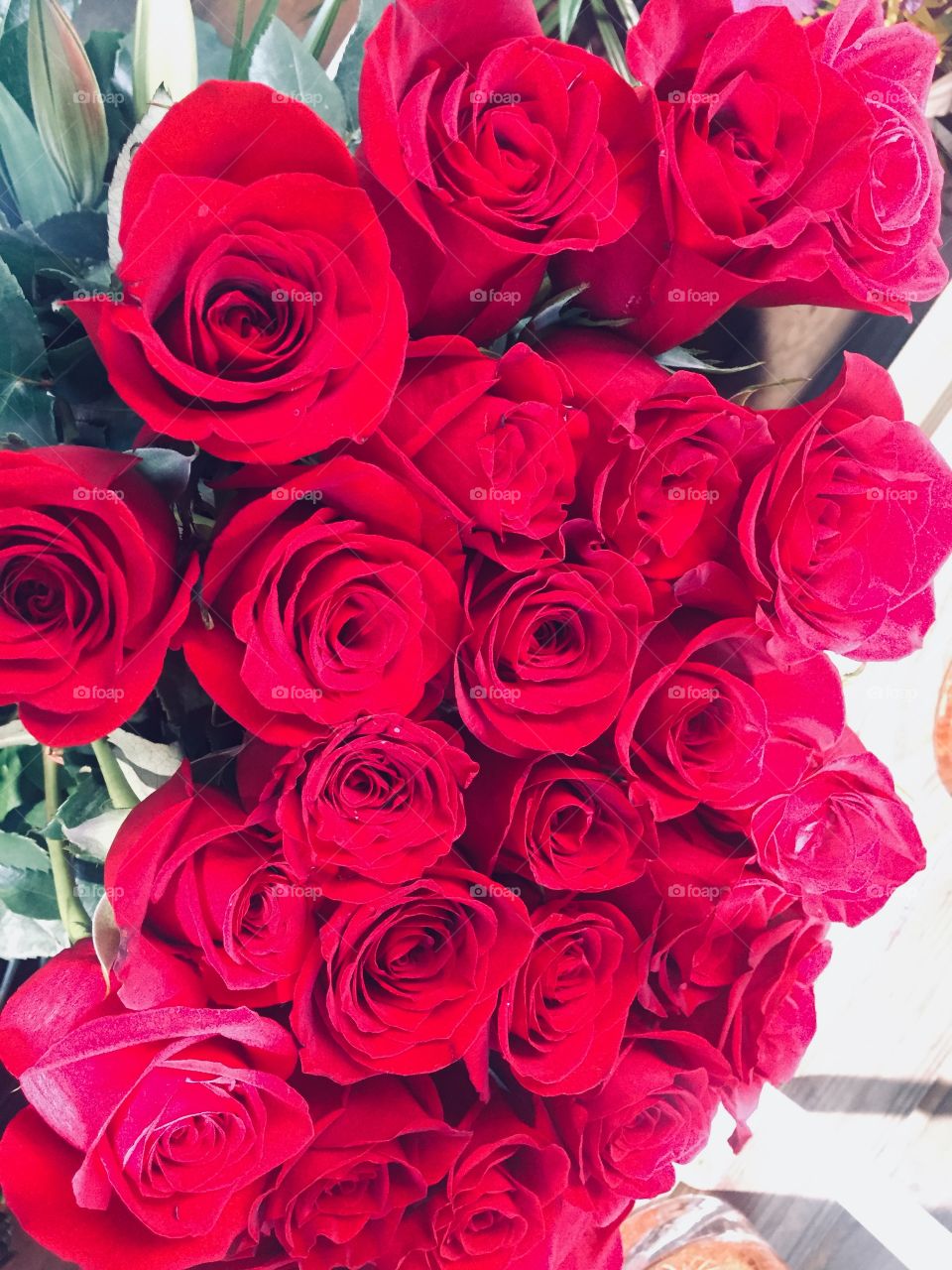 La belleza de las rosas rojas. Nunca me canso de ella son preciosas 