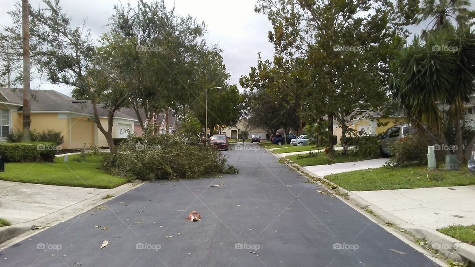 Survived the hurricane