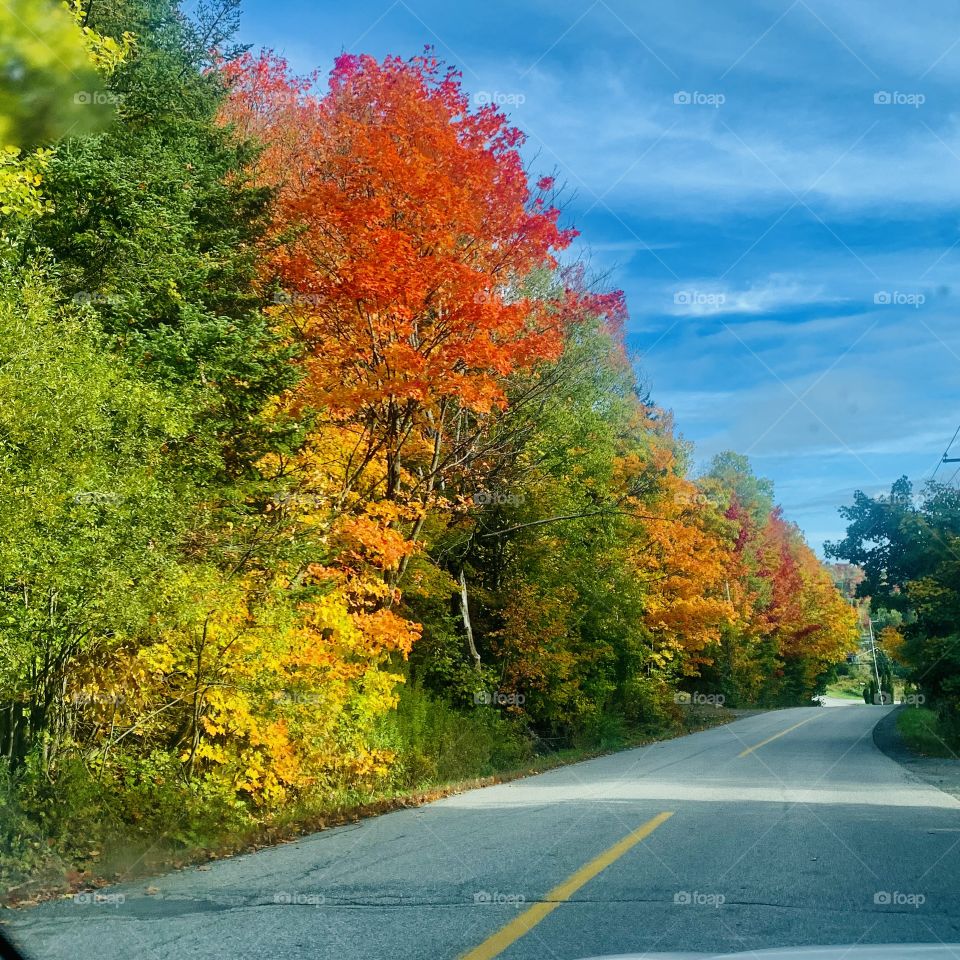 🍂 Road trip in the Laurentians