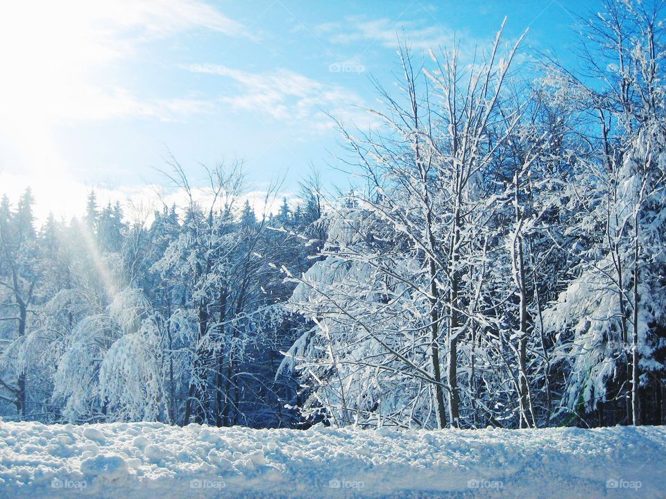 The sun shines the brightest when it's reflected in the snow.