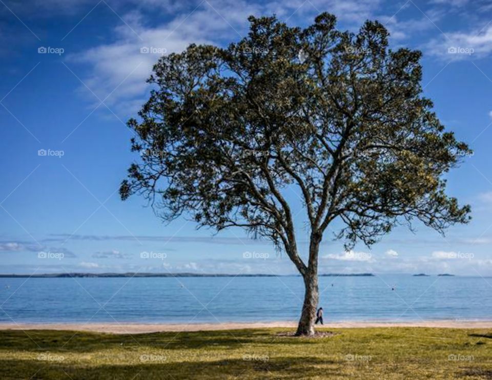 nature view of landscape