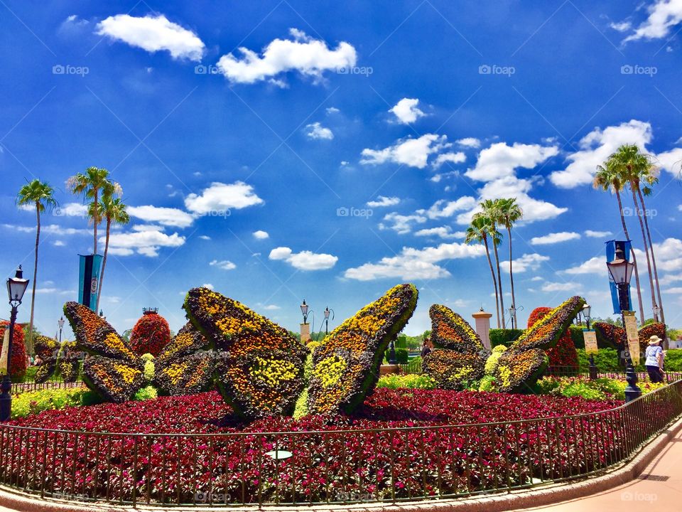 Beautiful Garden in World Disney Orlando Florida 