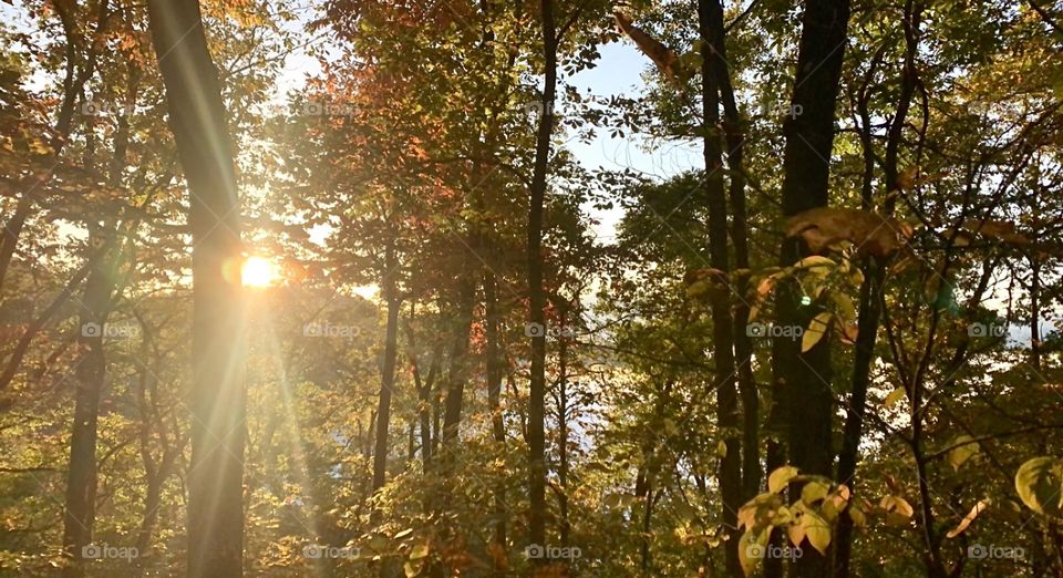 This was taken at a nature trail at my friend’s wedding. I think the sunlight against the green and orange is just stunning!