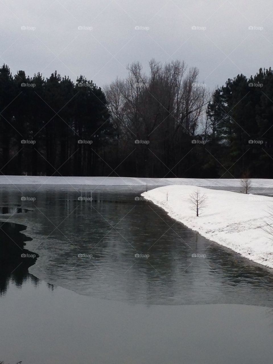 Ice Pond