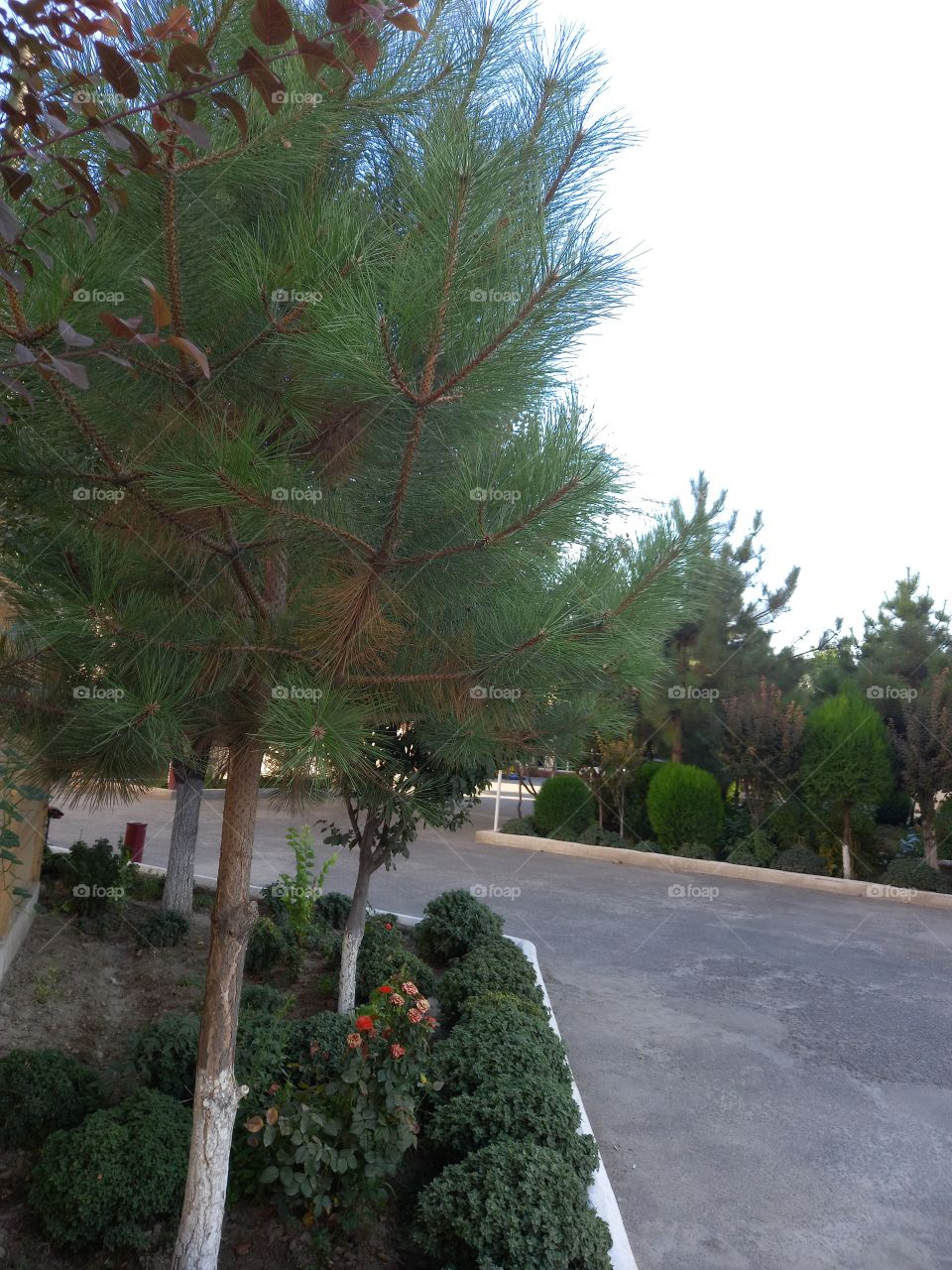 the magical  outside