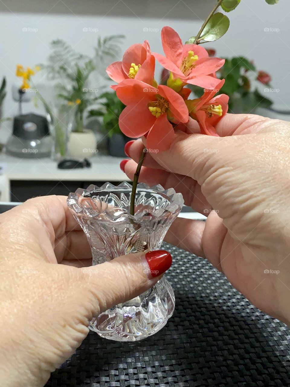 Beautiful red flowers in a vase 
