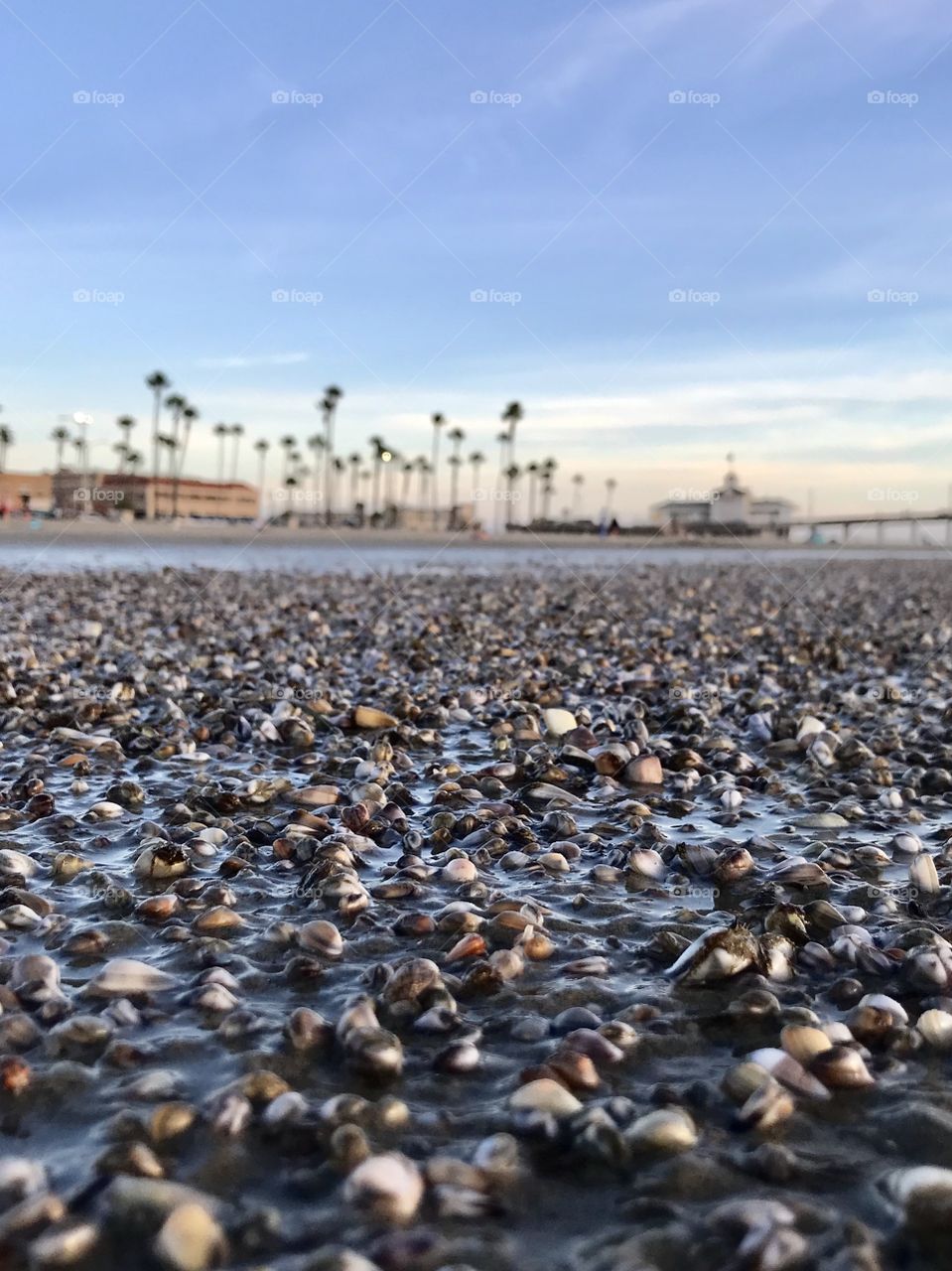 Shell filled beach. 