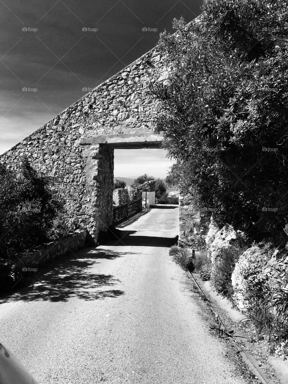 Arch, nature Reserve,trees,rock