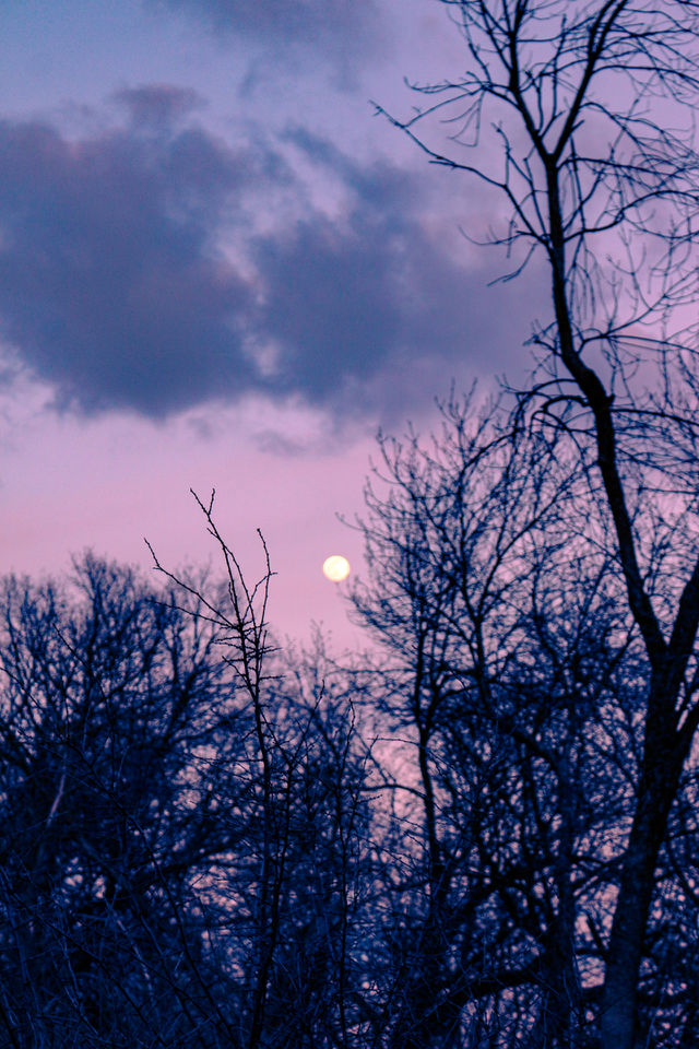 Nature
