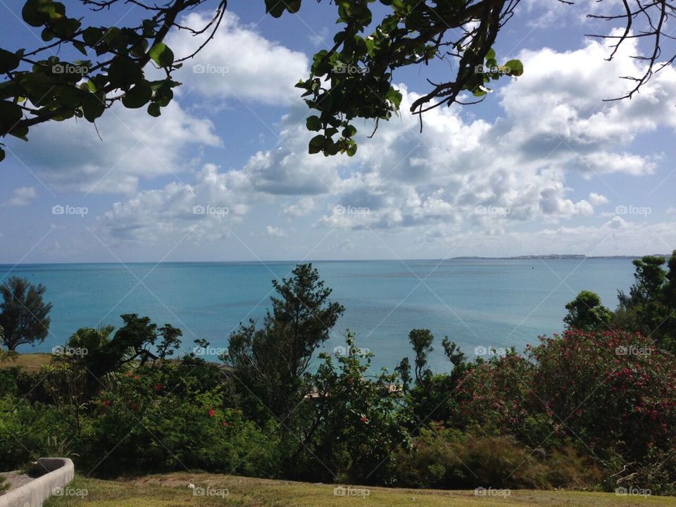 Bermuda view