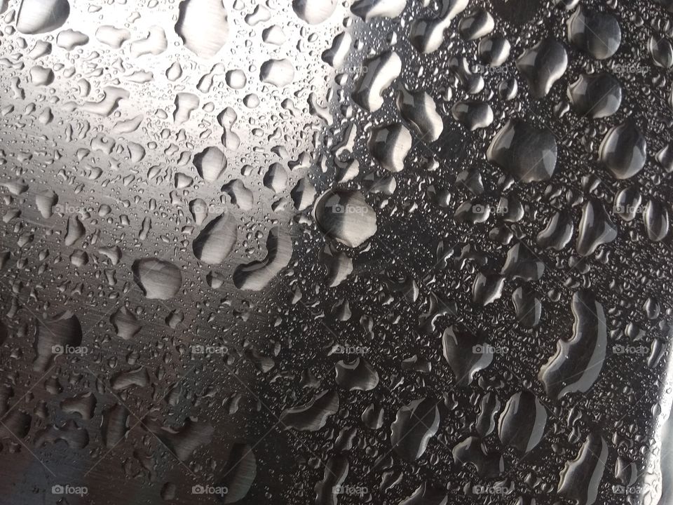rainy drop