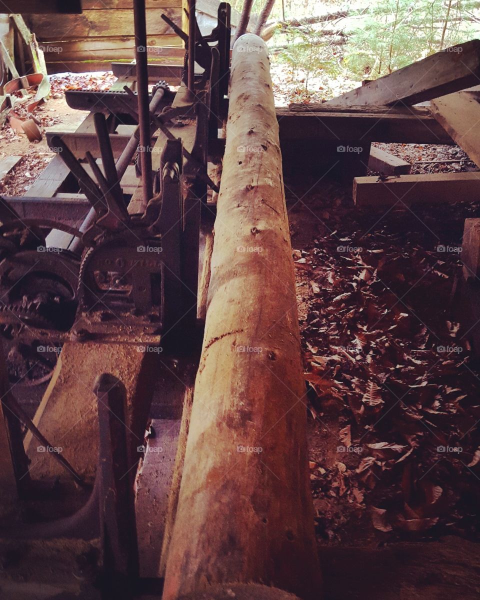 sawmill old log wood cut