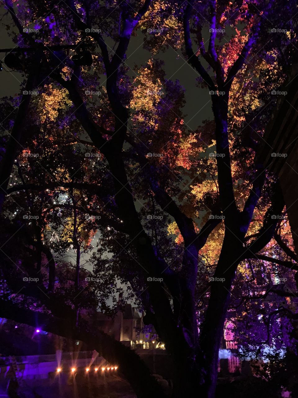 #day126 Everyday WDW Orlando Florida. I have been lost on Disney Properties consecutively since 4/3/19 You can find my encounter https://www.facebook.com/selsa.susanna or on IG selsa_susanna Disney’s Magic Kingdom 8-6-19 Tuesday