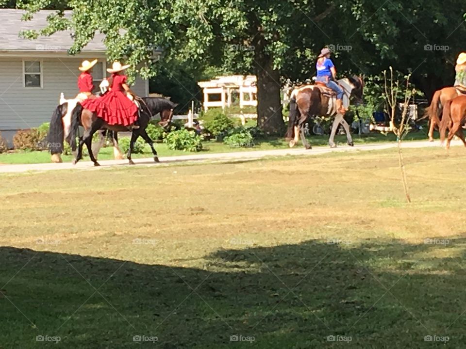 Must be the King and queen at the end all decked out in red and decorated ponies.