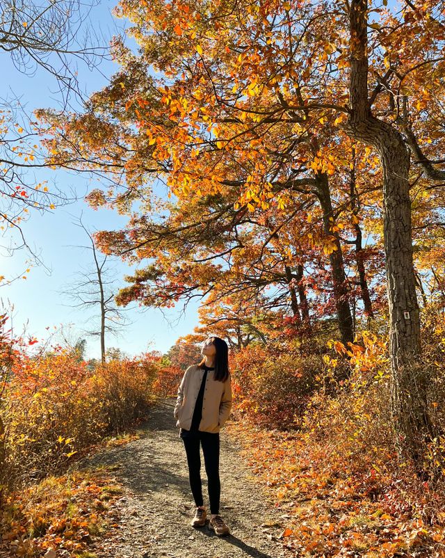 My favorite season