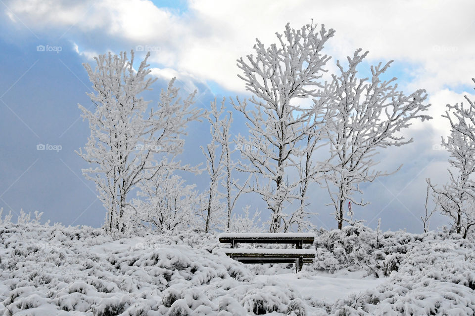 Picnic table under the snow