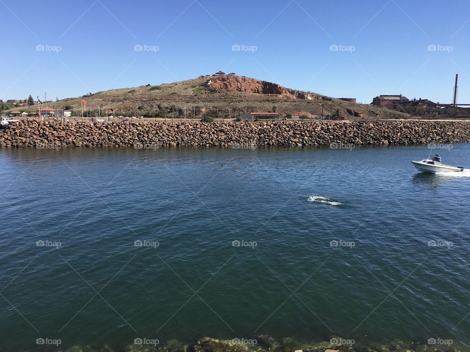 Sport fishing boat coming into harbour marina, dolphins following, mountain in background 