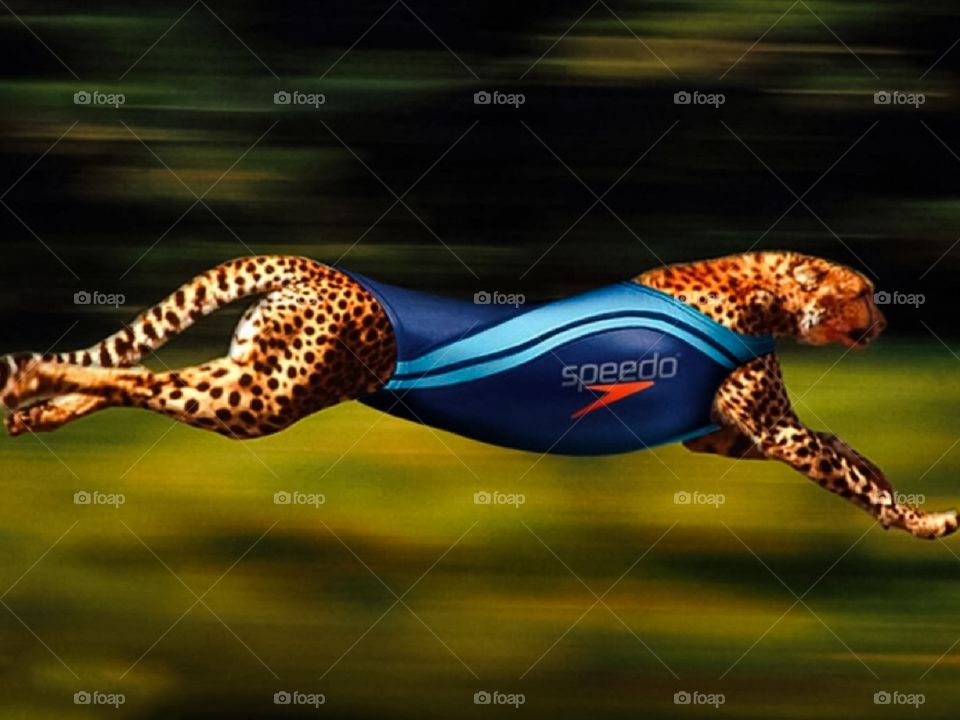 Quando un grafico si annoia