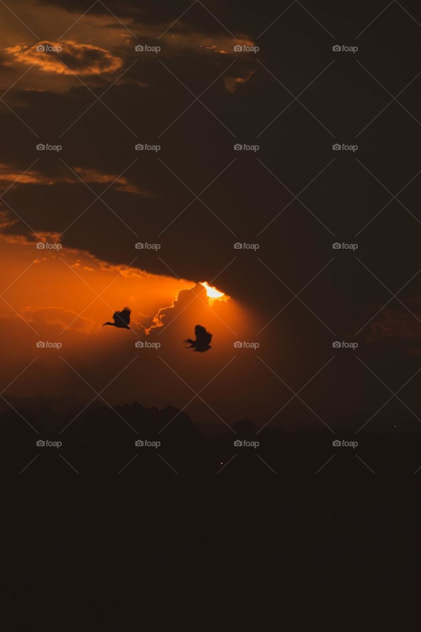 The flying birds make this piece even more artistic and one to savour. 🤌