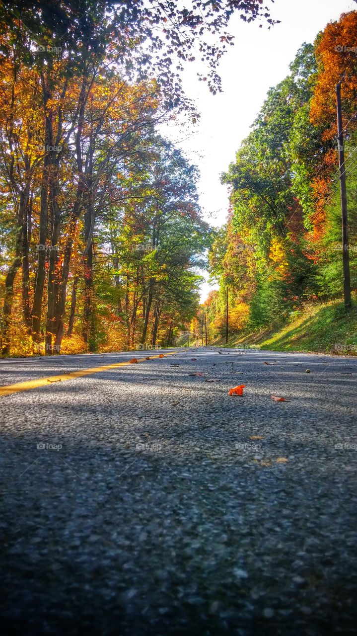 edited Autumn road
