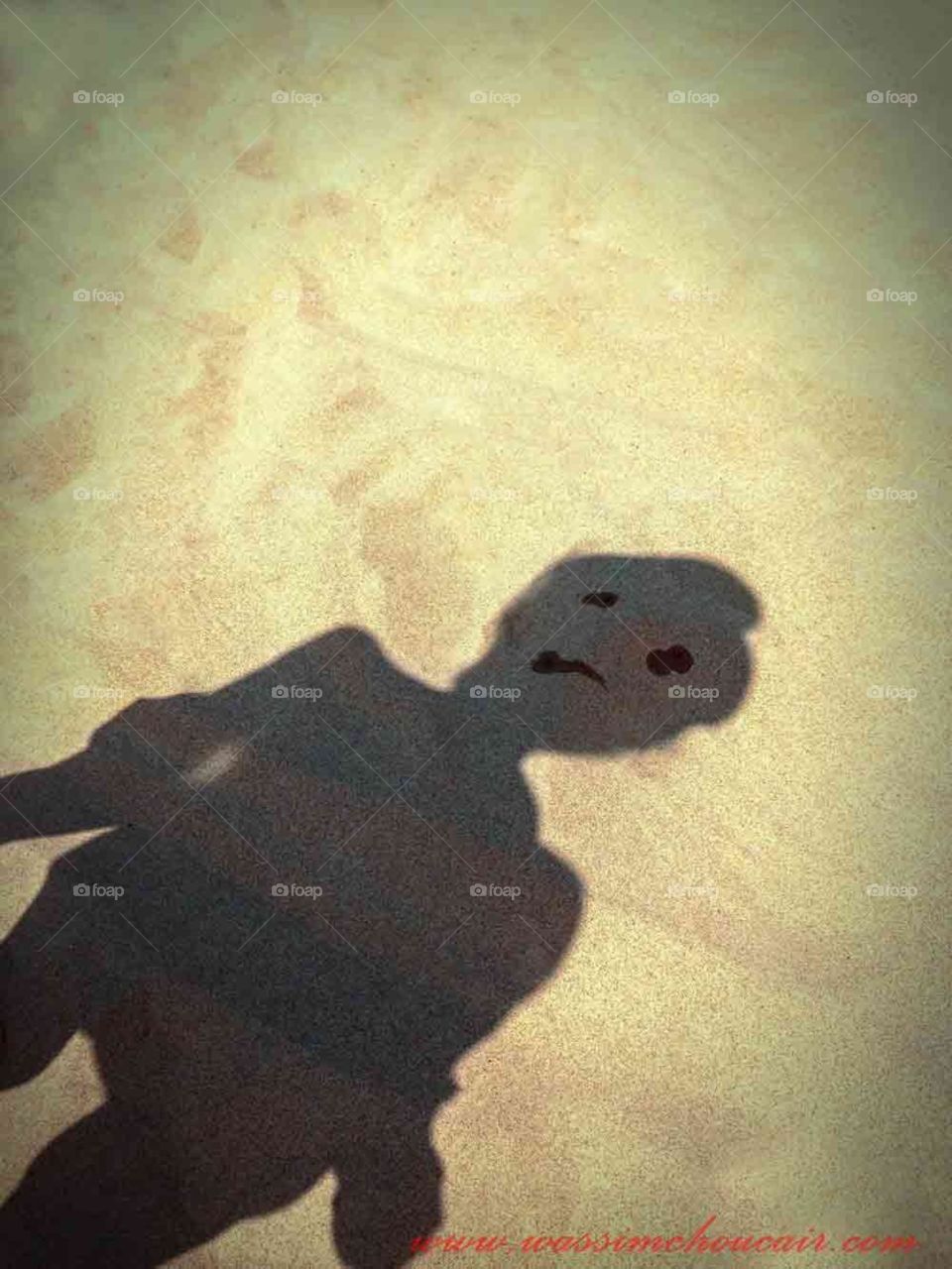 The true work of art is but a shadow of the divine perfection . Day on the beach