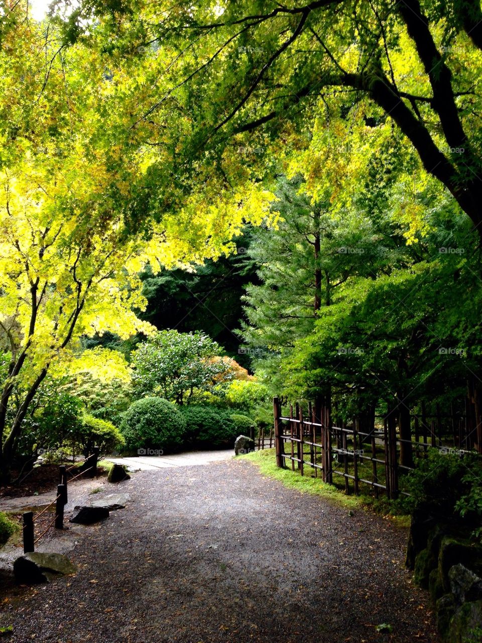 Japanese Garden